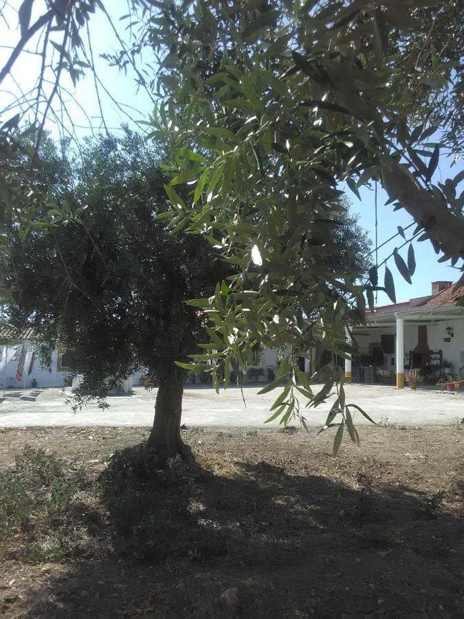 Quintinha Dos Pombinhos Villa Montoito Bagian luar foto
