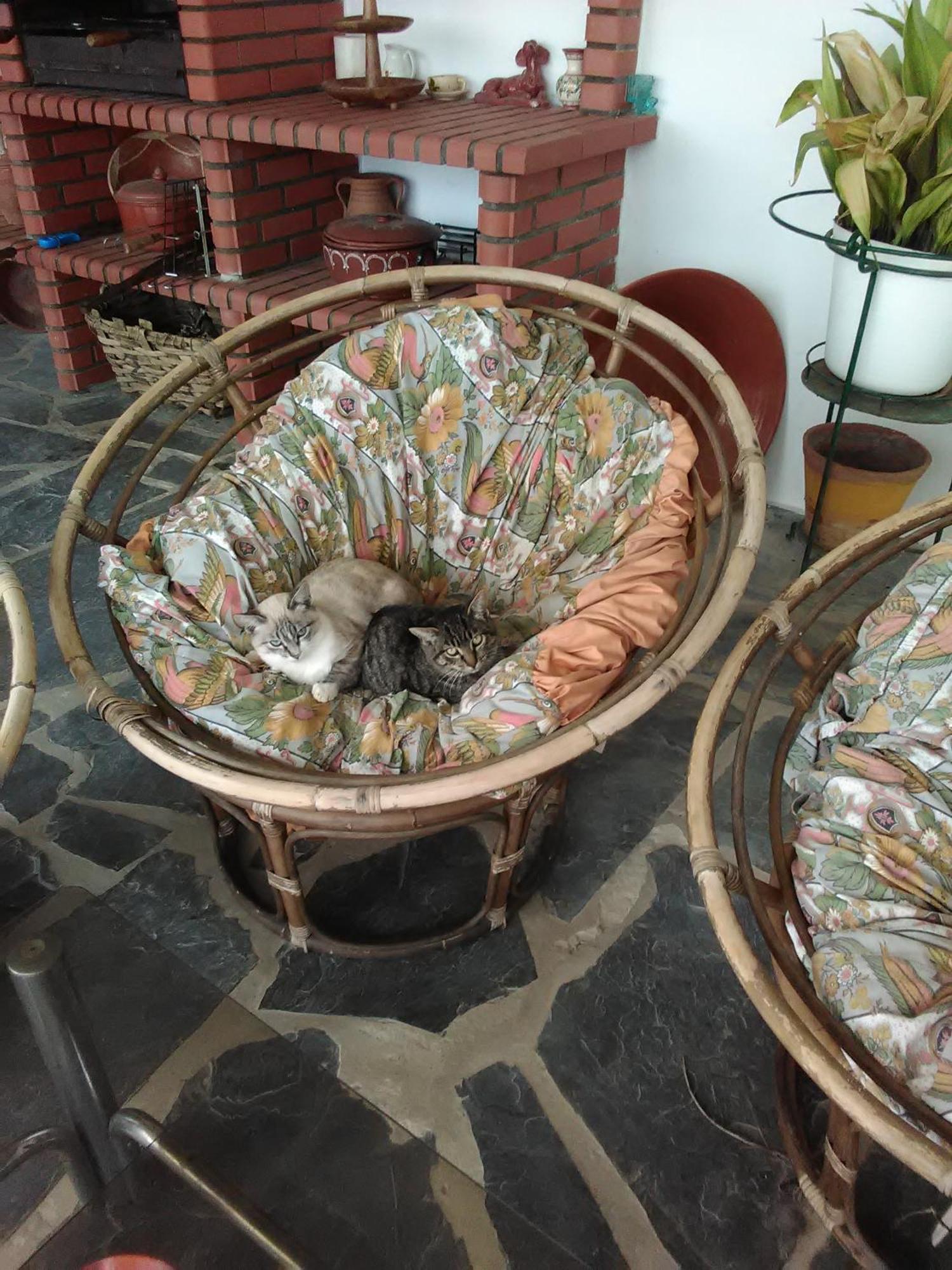 Quintinha Dos Pombinhos Villa Montoito Bagian luar foto