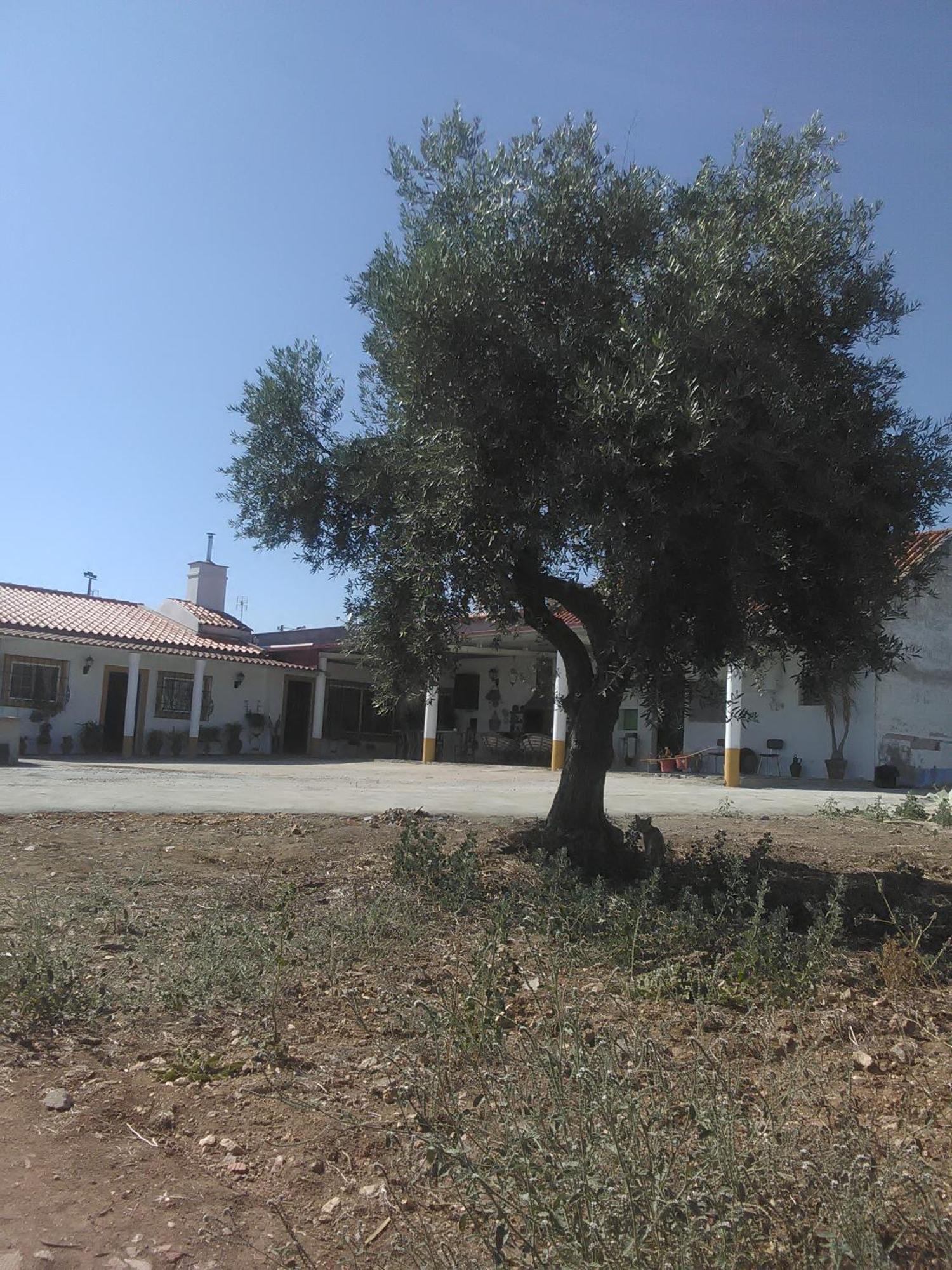 Quintinha Dos Pombinhos Villa Montoito Bagian luar foto