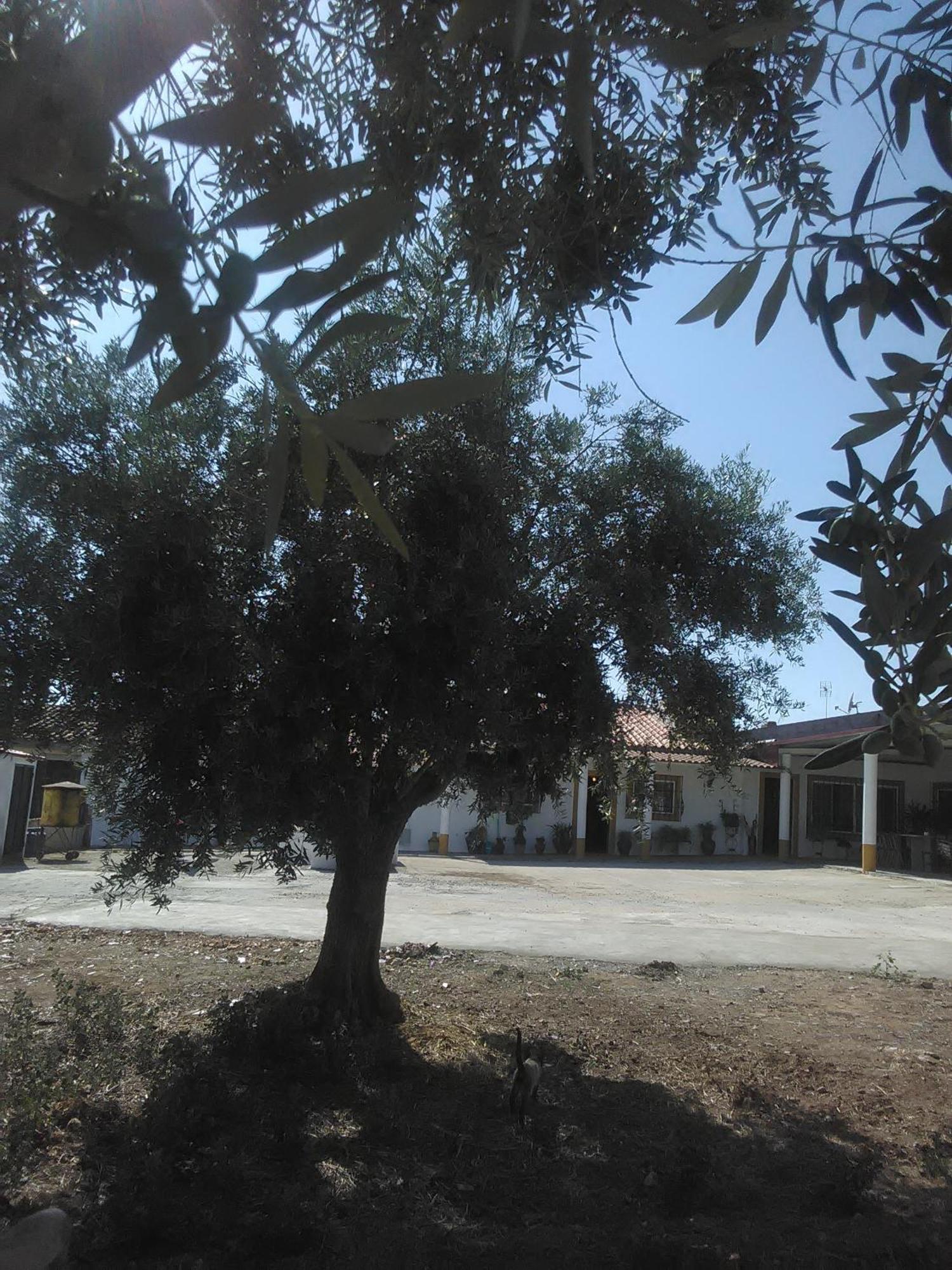 Quintinha Dos Pombinhos Villa Montoito Bagian luar foto